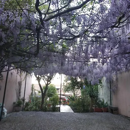 Apartamento Etna Rosa *